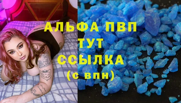 шишки Пересвет