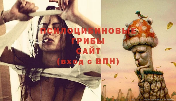 прущие крисы Алзамай