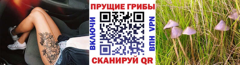 дарк нет формула  Апатиты  Галлюциногенные грибы прущие грибы 